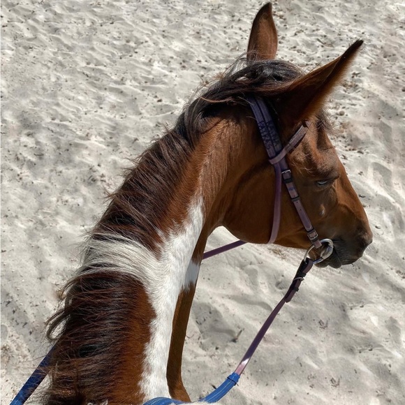 ⓦⓔⓛⓒⓞⓜⓔ - Picture 4 of 5